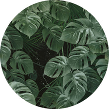 Carregar imagem no visualizador da galeria, NOVEL MONSTERA
